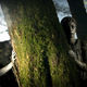 Illustration for article titled What's Really Going On This Year On Doctor Who?